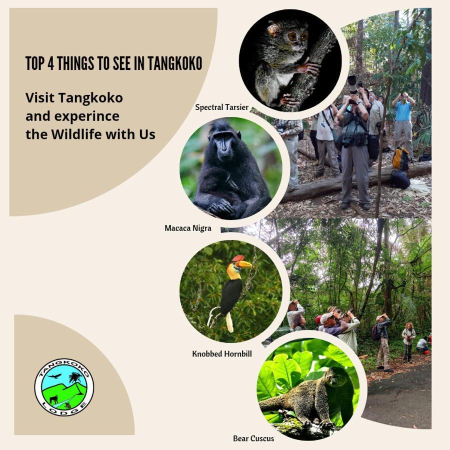 Tangkoko Lodge Bitung Buitenkant foto
